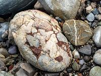 Großer Konglomeratstein und kleiner bräunlicher Stein mit weißen Bändern